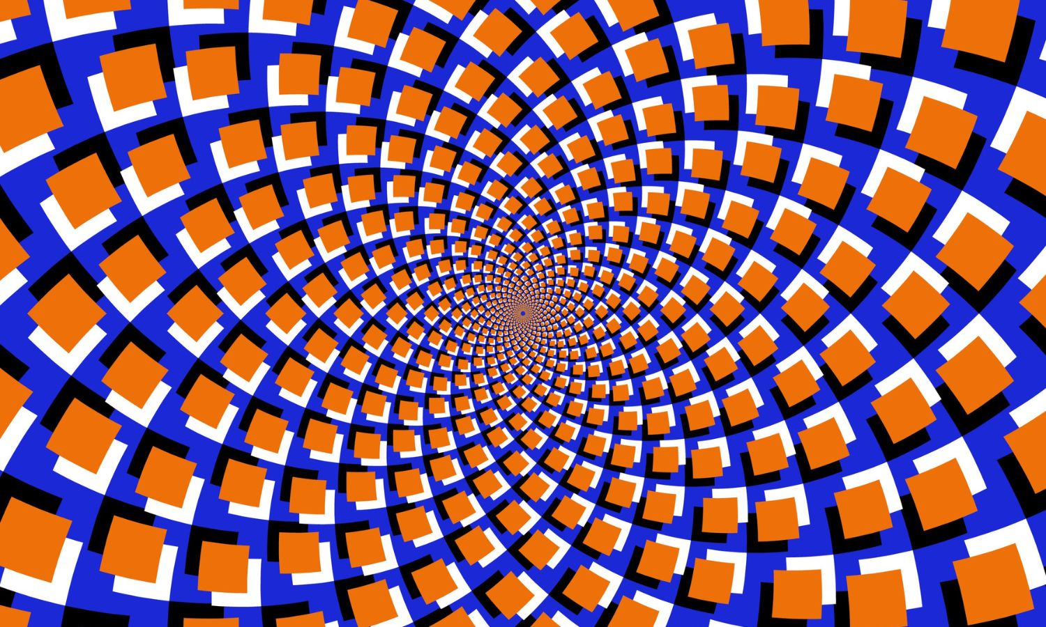 La Maravilla del Reino Animal